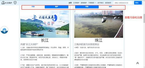 北京林业大学实践团 绿色生态文明宣传网站开发