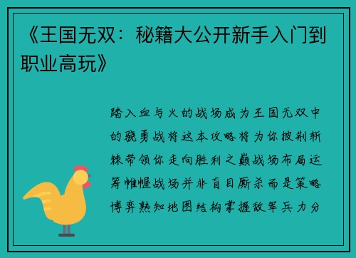 《王国无双：秘籍大公开新手入门到职业高玩》