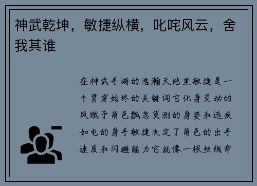 神武乾坤，敏捷纵横，叱咤风云，舍我其谁